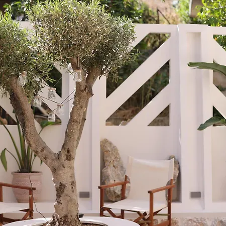 Aphrodite Suite Romantic Jacuzzi & Fireplace-2